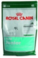 Royal Canin Size Health Nutrition for Mini Dogs (L