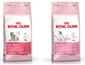 Royal Canin - Cat Food - Growth Age