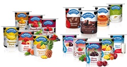 Taanayel Dessert & Fruit Yogurt Line