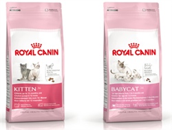 Royal Canin - Cat Food - Growth Age